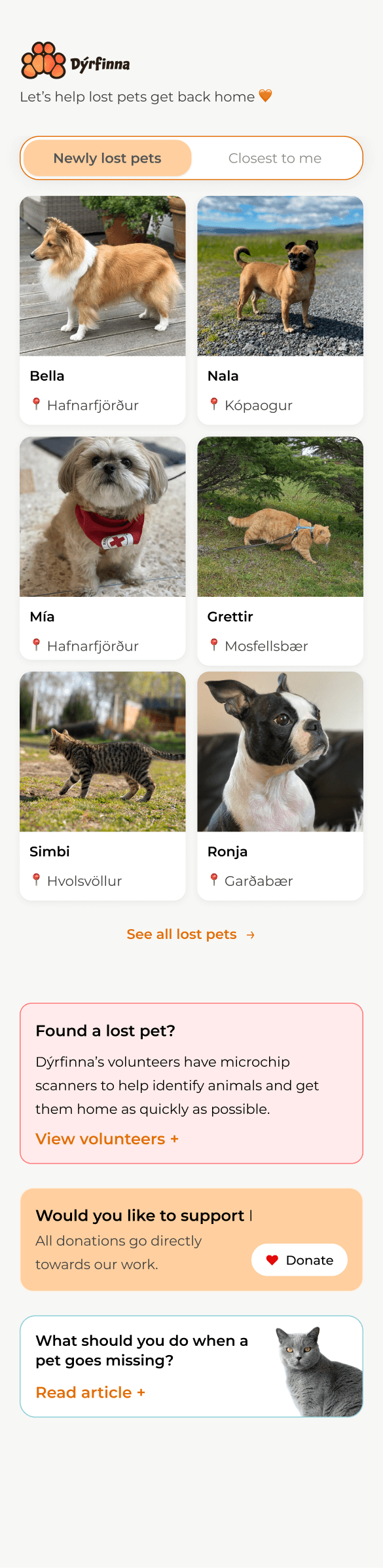 Earlier Dýrfinna home-screen prototype
