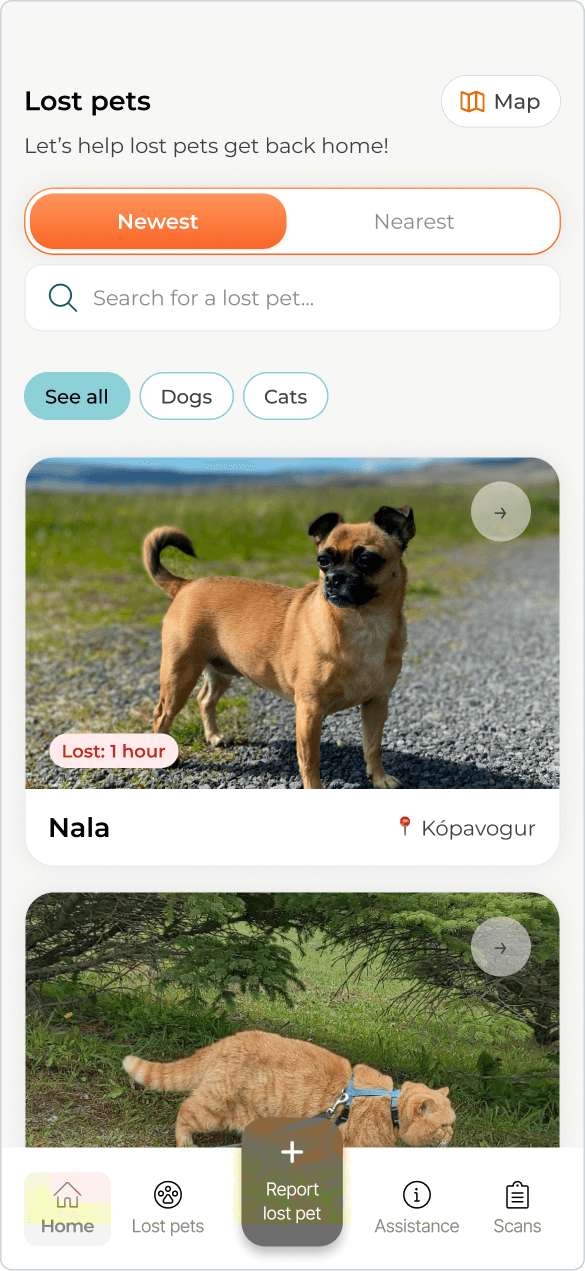 Earlier prototype lost-pets list