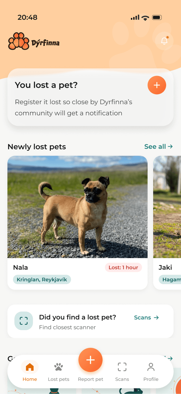 Final Dýrfinna home screen